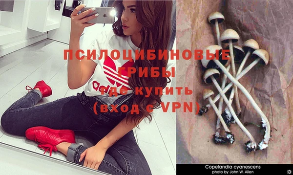 мефедрон Дмитриев