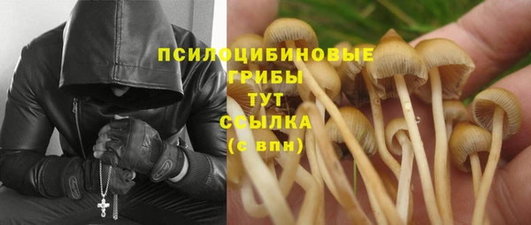 гашиш Дмитров